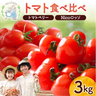 【先行受付7月】ミニトマト2種 各1.5kg トマトベリー & Nicoロッソ_Y124-0022
