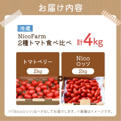 【先行受付7月】ミニトマト2種 各2kg トマトベリー & Nicoロッソ_Y124-0023