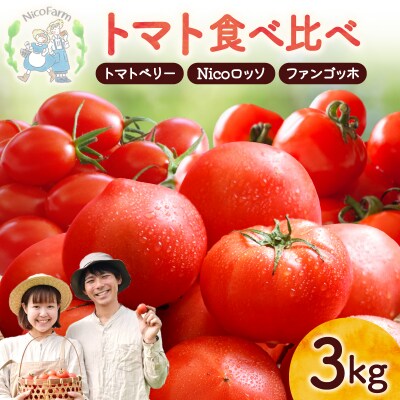 【先行受付7月】トマト3種食べ比べトマトベリー・Nicoロッソ・ファンゴッホ_Y124-0024