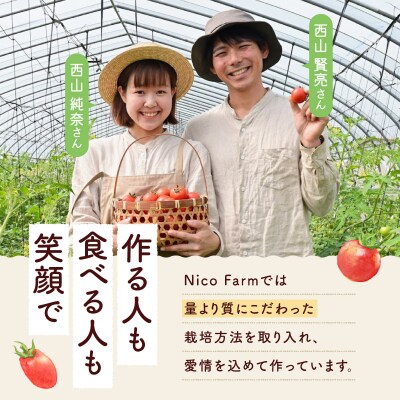 【先行受付7月】トマト3種食べ比べトマトベリー・Nicoロッソ・ファンゴッホ_Y124-0024