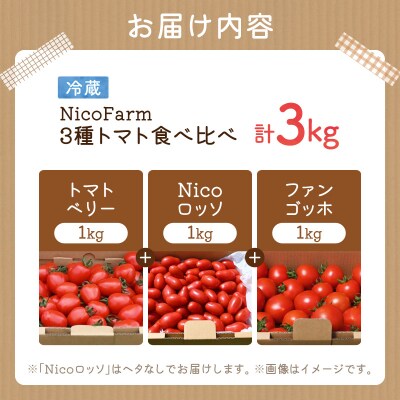 【先行受付7月】トマト3種食べ比べトマトベリー・Nicoロッソ・ファンゴッホ_Y124-0024
