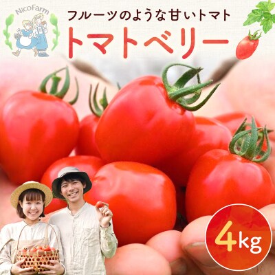 【先行受付7月】ハート型 トマトベリー 4kg 樹上完熟 果肉たっぷりジューシー_Y124-0025