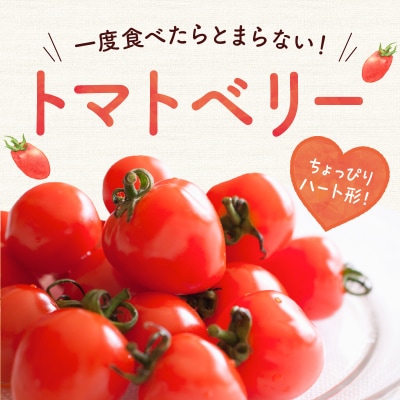 【先行受付7月】ハート型 トマトベリー 4kg 樹上完熟 果肉たっぷりジューシー_Y124-0025