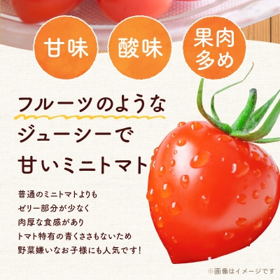 【先行受付7月】ハート型 トマトベリー 4kg 樹上完熟 果肉たっぷりジューシー_Y124-0025