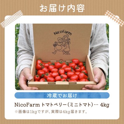 【先行受付7月】ハート型 トマトベリー 4kg 樹上完熟 果肉たっぷりジューシー_Y124-0025