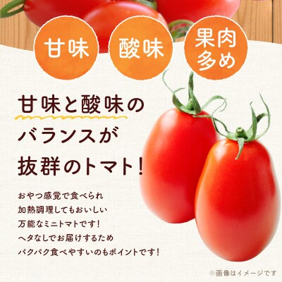 【先行受付7月】 Nicoロッソ 4kg ヘタなしミニトマト 甘くて果肉たっぷり_Y124-0026