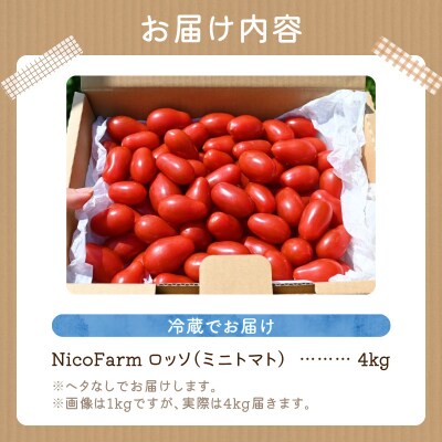 【先行受付7月】 Nicoロッソ 4kg ヘタなしミニトマト 甘くて果肉たっぷり_Y124-0026