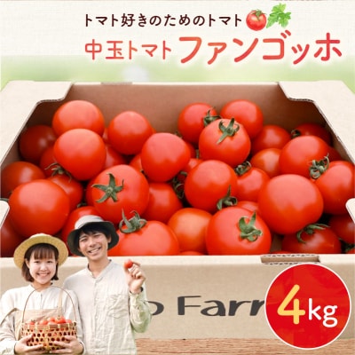 【先行受付7月】ファンゴッホ 4kg 肉厚中玉トマト 酸味と甘みのバランス_Y124-0027
