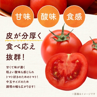 【先行受付7月】ファンゴッホ 4kg 肉厚中玉トマト 酸味と甘みのバランス_Y124-0027