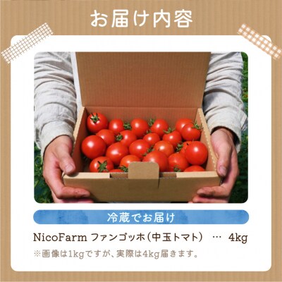 【先行受付7月】ファンゴッホ 4kg 肉厚中玉トマト 酸味と甘みのバランス_Y124-0027
