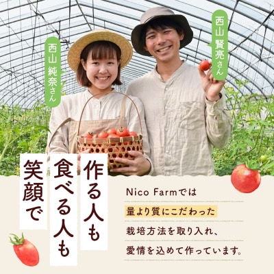 【定期便全6回】NicoFarm トマトジュース 180ml 30本×6回_Y124-0044