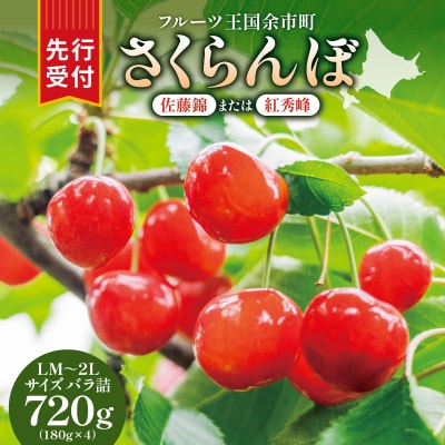 【先行受付:6月下旬発送】令和8年産さくらんぼ【LM～2Lバラ詰め】180g×4_Y160-0001
