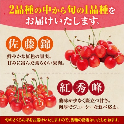 【先行受付:6月下旬発送】令和8年産さくらんぼ【LM～2Lバラ詰め】180g×4_Y160-0001