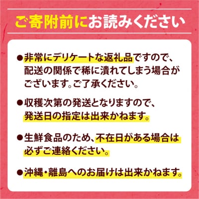 【先行受付:6月下旬発送】令和8年産さくらんぼ【LM～2Lバラ詰め】180g×4_Y160-0001