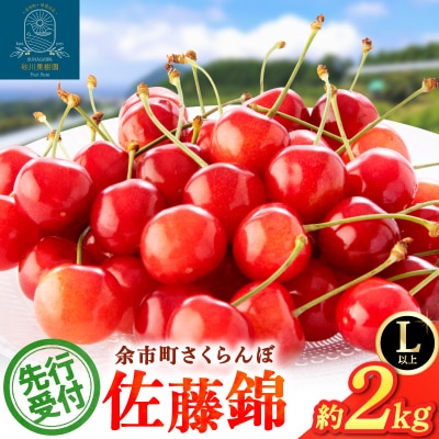 2026年7月上旬発送　砂川果樹園が贈る直送さくらんぼ 佐藤錦 2kg箱_Y033-0039