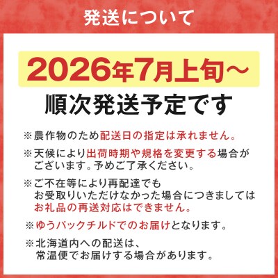 2026年7月上旬発送　砂川果樹園が贈る直送さくらんぼ 佐藤錦 2kg箱_Y033-0039