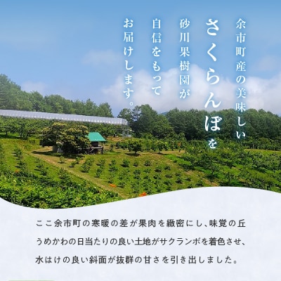 2026年7月上旬発送　砂川果樹園が贈る直送さくらんぼ 佐藤錦 2kg箱_Y033-0039