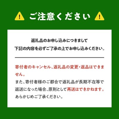 2026年7月上旬発送　砂川果樹園が贈る直送さくらんぼ 佐藤錦 2kg箱_Y033-0039