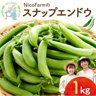 【2026年6月上旬頃より発送】スナップエンドウ 1Kg 産地直送 _Y124-0048 