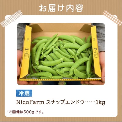 【2026年6月上旬頃より発送】スナップエンドウ 1Kg 産地直送 _Y124-0048 