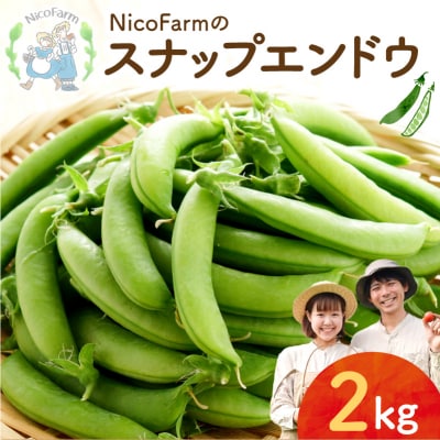 【2026年6月上旬頃より発送】スナップエンドウ 2Kg 産地直送_Y124-0049 