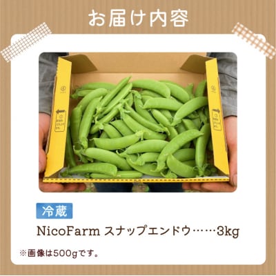 【2026年6月上旬頃より発送】スナップエンドウ 3Kg 産地直送_Y124-0050 