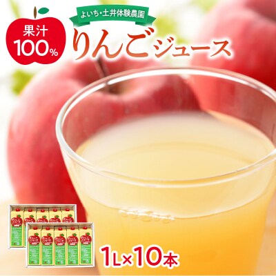 北海道余市町産 果汁100% りんごジュース 1L×10本入り_ Y127-0013