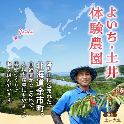 北海道余市町産 果汁100% りんごジュース 1L×10本入り_ Y127-0013