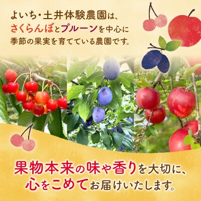 北海道余市町産 果汁100% りんごジュース 1L×10本入り_ Y127-0013