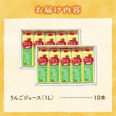 北海道余市町産 果汁100% りんごジュース 1L×10本入り_ Y127-0013