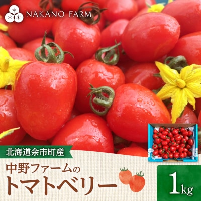 【7月上旬発送】余市町 トマトベリー 1kg ハート型フルーツミニトマト_Y026-0014