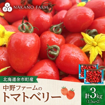 【7月上旬発送】余市町 トマトベリー 3kg ハート型フルーツミニトマト_Y026-0015
