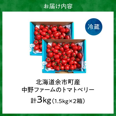 【7月上旬発送】余市町 トマトベリー 3kg ハート型フルーツミニトマト_Y026-0015