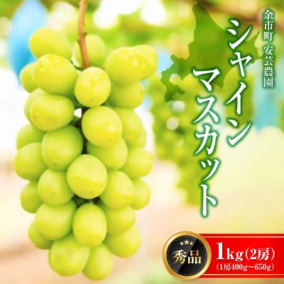 【先行受付:9月上旬以降発送】北海道産シャインマスカット 1kg【秀品2房】_Y164-0002