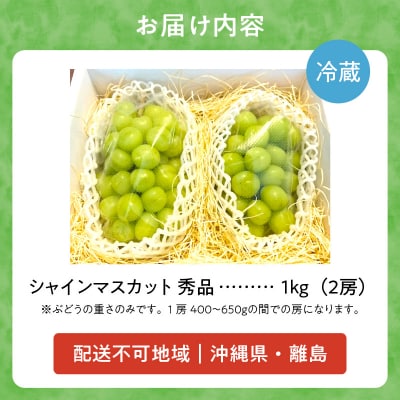 【先行受付:9月上旬以降発送】北海道産シャインマスカット 1kg【秀品2房】_Y164-0002