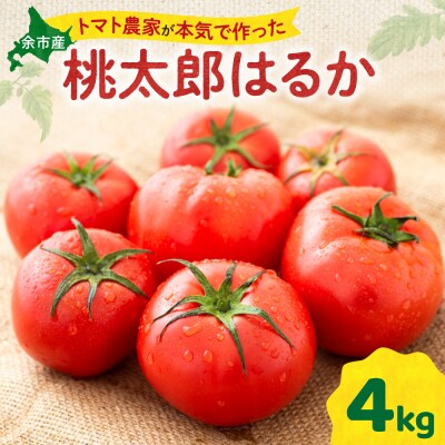 【先行受付9月上旬以降発送】トマト農家が本気で作る「秋トマト」4Kg_Y165-0003