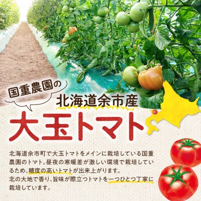 【先行受付9月上旬以降発送】トマト農家が本気で作る「秋トマト」4Kg_Y165-0003