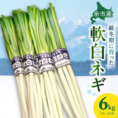 【先行受付:12月中旬以降発送】厳寒期の希少品【北海道余市産 軟白ネギ】6kg_Y165-0006
