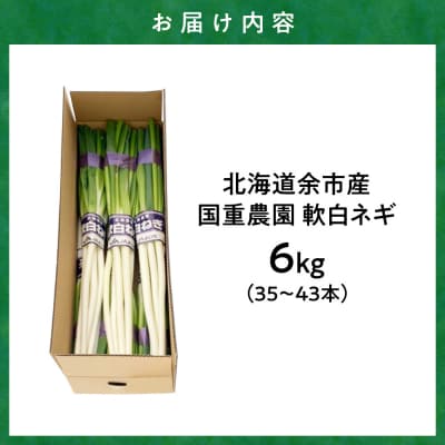 【先行受付:12月中旬以降発送】厳寒期の希少品【北海道余市産 軟白ネギ】6kg_Y165-0006