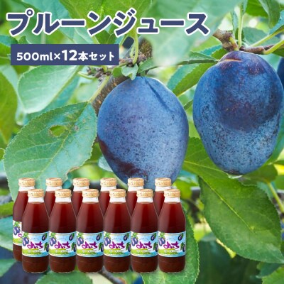 余市産 無添加 プルーン果汁100%ジュース 500ml×12本セット_Y018-0075