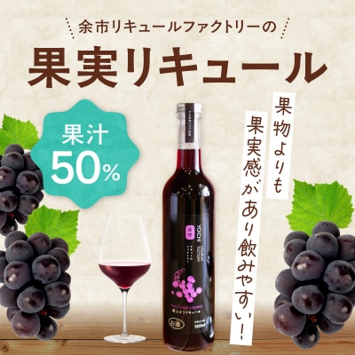 黒ぶどうリキュール ツヴァイゲルトレーベ 500ml 果実感たっぷり_Y118-0003