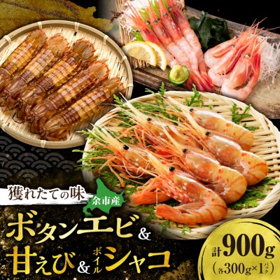 【獲れたての味!】ボタンエビ300g・甘エビ300g・ボイルシャコ300g_Y022-0028