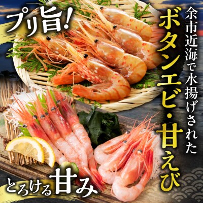 【獲れたての味!】ボタンエビ300g・甘エビ300g・ボイルシャコ300g_Y022-0028
