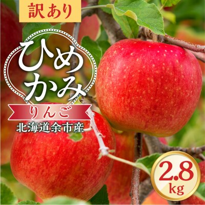 【先行受付:2026年10月上旬より発送】訳アリ りんご(ひめかみ)2.8kg_Y103-0096