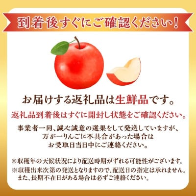 【先行受付:2026年10月上旬より発送】訳アリ りんご(ひめかみ)2.8kg_Y103-0096