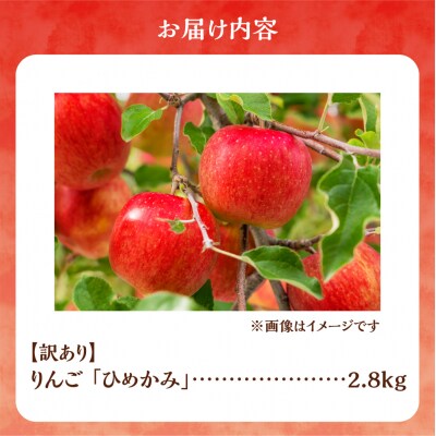 【先行受付:2026年10月上旬より発送】訳アリ りんご(ひめかみ)2.8kg_Y103-0096