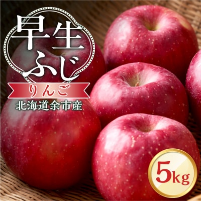 【先行受付:2026年10月中旬より発送】りんご(早生ふじ)5kg_Y103-0093