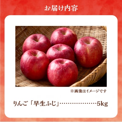 【先行受付:2026年10月中旬より発送】りんご(早生ふじ)5kg_Y103-0093