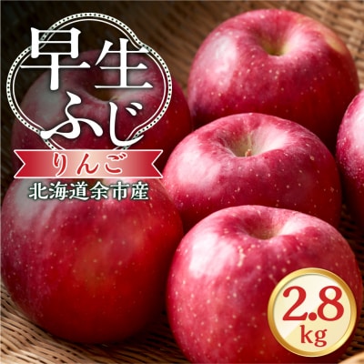 【先行受付:2026年10月中旬より発送】りんご(早生ふじ)2.8kg_Y103-0094