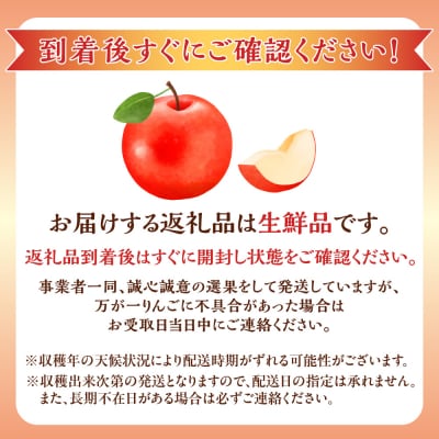 【先行受付:2026年10月中旬より発送】りんご(早生ふじ)2.8kg_Y103-0094
